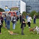 V parku Na Pankráci proběhl v neděli 11. září 2022 již 9. ročník oblíbené „zábavy pro psa i celou rodinu“ - PesFest 2022. Příchozí mohli vidět různá vystoupení psů a komentované ukázky výcviku, agility park, psí poradny, oblíbené psí soutěže, prodej chovatelských potřeb a samozřejmě vyhlášení sympaťáka PesFestu 2022.