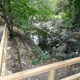 Otevíráme nový park „Přátelská zahrada“ - Nový altán, most, amfiteátr a opravená zahrada s chodníčky, to je od 10. září 2020 nový výukový a odpočinkový areál v sousedství Základní školy Jeremenkova. Přátelská zahrada, jak se jmenuje nový park, stojí na místě původního zpustlého zahradnictví, které prošlo rozsáhlou rekonstrukcí. Na neformální otevření parku, který bude sloužit jak žákům nedaleké školy, tak i široké veřejnosti, se přišli podívat starostka MČ Praha 4 Irena Michalcová, radní životní prostředí a místní Agendu 21 Tomáš Hrdinka (oba ANO 2011) a radní Prahy 4 pro investice Filip Vácha (TOP 09) a ředitel zmíněné školy Jan Vondrouš s dětmi z družiny.