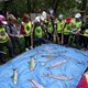 V úterý 17. září 2019 v době od 9 do 16 hodin připravila Praha 4 pro malé návštěvníky i širokou veřejnost u rybníku Labuť ekologicko-výchovnou akci „Za zvířátky do Krčského lesa“. Dopolední program v čase od 9 do 12 hodin byl vyhrazen především pro MŠ a ZŠ. Akce se konala s podporou radního pro životní prostředí a MA21 Tomáše Hrdinky (ANO 2011).
