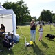 PesFest 2019 v Parku Na Pankráci