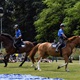 PesFest 2019 v Parku Na Pankráci