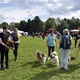 V parku Na Pankráci proběhl v neděli 11. září 2022 již 9. ročník oblíbené „zábavy pro psa i celou rodinu“ - PesFest 2022. Příchozí mohli vidět různá vystoupení psů a komentované ukázky výcviku, agility park, psí poradny, oblíbené psí soutěže, prodej chovatelských potřeb a samozřejmě vyhlášení sympaťáka PesFestu 2022.