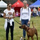 PesFest 2019 v Parku Na Pankráci
