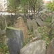 Prohlídka synagog a Starého židovského hřbitova