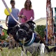 PesFest 2019 v Parku Na Pankráci