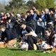 Na "Psí louce" na Kavčích horách se v sobotu 22. dubna 2023 od deváté ranní uskutečnil již třetí ročník oblíbeného závodu Corgi race cup.