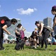 V neděli 5. září 2021 se na Pankrácké pláni uskutečnil již 8. ročník oblíbeného festivalu PesFest. Ten je věnovaný především čtyřnohým společníkům člověka. Celým festivalem provázel moderátor Miroslav Konvalinka a na zdárný průběh dohlížela zakladatelka akce – zastupitelka naší městské části Praha 4 a předsedkyně bezpečnostního výboru Lucie Michková (ODS). V průběhu odpoledne si příchozí návštěvníci mohli se svým zvířecím doprovodem vyzkoušet agility, aport buřtem nebo si zasoutěžit v chytání piškotu. Příchozí mohli i zakoupit různé potřeby pro své čtyřnohé parťáky a tím přispět na opuštěná zvířata v útulcích. 