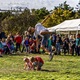 V neděli 29. září 2019 v parku Na Pankráci na Praze 4 proběhla od 14:00 do 17:00 hodin celá řada vystoupení a workshopů street dance, hip hop, parkour, taneční škola, slick line, Bmx Freestyle a mnoha dalších. Celé odpoledne také probíhalo veřejné pouštění draků, které byly zdarma. Děti si mohly během odpoledne opékat buřty na připravených ohništích.