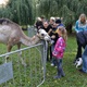 Blíže nespecifikovaný obrázek