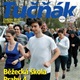 Tučňák - červen 2014