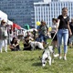 V neděli 5. září 2021 se na Pankrácké pláni uskutečnil již 8. ročník oblíbeného festivalu PesFest. Ten je věnovaný především čtyřnohým společníkům člověka. Celým festivalem provázel moderátor Miroslav Konvalinka a na zdárný průběh dohlížela zakladatelka akce – zastupitelka naší městské části Praha 4 a předsedkyně bezpečnostního výboru Lucie Michková (ODS). V průběhu odpoledne si příchozí návštěvníci mohli se svým zvířecím doprovodem vyzkoušet agility, aport buřtem nebo si zasoutěžit v chytání piškotu. Příchozí mohli i zakoupit různé potřeby pro své čtyřnohé parťáky a tím přispět na opuštěná zvířata v útulcích. 