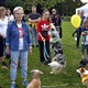 V parku Na Pankráci proběhl v neděli 11. září 2022 již 9. ročník oblíbené „zábavy pro psa i celou rodinu“ - PesFest 2022. Příchozí mohli vidět různá vystoupení psů a komentované ukázky výcviku, agility park, psí poradny, oblíbené psí soutěže, prodej chovatelských potřeb a samozřejmě vyhlášení sympaťáka PesFestu 2022.