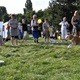 V neděli 5. září 2021 se na Pankrácké pláni uskutečnil již 8. ročník oblíbeného festivalu PesFest. Ten je věnovaný především čtyřnohým společníkům člověka. Celým festivalem provázel moderátor Miroslav Konvalinka a na zdárný průběh dohlížela zakladatelka akce – zastupitelka naší městské části Praha 4 a předsedkyně bezpečnostního výboru Lucie Michková (ODS). V průběhu odpoledne si příchozí návštěvníci mohli se svým zvířecím doprovodem vyzkoušet agility, aport buřtem nebo si zasoutěžit v chytání piškotu. Příchozí mohli i zakoupit různé potřeby pro své čtyřnohé parťáky a tím přispět na opuštěná zvířata v útulcích. 