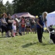 V neděli 5. září 2021 se na Pankrácké pláni uskutečnil již 8. ročník oblíbeného festivalu PesFest. Ten je věnovaný především čtyřnohým společníkům člověka. Celým festivalem provázel moderátor Miroslav Konvalinka a na zdárný průběh dohlížela zakladatelka akce – zastupitelka naší městské části Praha 4 a předsedkyně bezpečnostního výboru Lucie Michková (ODS). V průběhu odpoledne si příchozí návštěvníci mohli se svým zvířecím doprovodem vyzkoušet agility, aport buřtem nebo si zasoutěžit v chytání piškotu. Příchozí mohli i zakoupit různé potřeby pro své čtyřnohé parťáky a tím přispět na opuštěná zvířata v útulcích. 