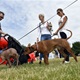 PesFest 2019 v Parku Na Pankráci