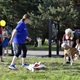 V neděli 5. září 2021 se na Pankrácké pláni uskutečnil již 8. ročník oblíbeného festivalu PesFest. Ten je věnovaný především čtyřnohým společníkům člověka. Celým festivalem provázel moderátor Miroslav Konvalinka a na zdárný průběh dohlížela zakladatelka akce – zastupitelka naší městské části Praha 4 a předsedkyně bezpečnostního výboru Lucie Michková (ODS). V průběhu odpoledne si příchozí návštěvníci mohli se svým zvířecím doprovodem vyzkoušet agility, aport buřtem nebo si zasoutěžit v chytání piškotu. Příchozí mohli i zakoupit různé potřeby pro své čtyřnohé parťáky a tím přispět na opuštěná zvířata v útulcích. 