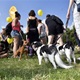 V neděli 5. září 2021 se na Pankrácké pláni uskutečnil již 8. ročník oblíbeného festivalu PesFest. Ten je věnovaný především čtyřnohým společníkům člověka. Celým festivalem provázel moderátor Miroslav Konvalinka a na zdárný průběh dohlížela zakladatelka akce – zastupitelka naší městské části Praha 4 a předsedkyně bezpečnostního výboru Lucie Michková (ODS). V průběhu odpoledne si příchozí návštěvníci mohli se svým zvířecím doprovodem vyzkoušet agility, aport buřtem nebo si zasoutěžit v chytání piškotu. Příchozí mohli i zakoupit různé potřeby pro své čtyřnohé parťáky a tím přispět na opuštěná zvířata v útulcích. 