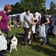 PesFest 2019 v Parku Na Pankráci