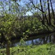 Procházka s Lesy hl. m. Prahy - Pražské potoky a rybníky "Meandry Botiče"
