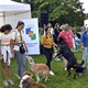 V parku Na Pankráci proběhl v neděli 11. září 2022 již 9. ročník oblíbené „zábavy pro psa i celou rodinu“ - PesFest 2022. Příchozí mohli vidět různá vystoupení psů a komentované ukázky výcviku, agility park, psí poradny, oblíbené psí soutěže, prodej chovatelských potřeb a samozřejmě vyhlášení sympaťáka PesFestu 2022.