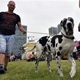 PesFest 2019 v Parku Na Pankráci