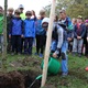 Den stromů s Prahou 4 (2017)