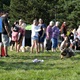 V neděli 5. září 2021 se na Pankrácké pláni uskutečnil již 8. ročník oblíbeného festivalu PesFest. Ten je věnovaný především čtyřnohým společníkům člověka. Celým festivalem provázel moderátor Miroslav Konvalinka a na zdárný průběh dohlížela zakladatelka akce – zastupitelka naší městské části Praha 4 a předsedkyně bezpečnostního výboru Lucie Michková (ODS). V průběhu odpoledne si příchozí návštěvníci mohli se svým zvířecím doprovodem vyzkoušet agility, aport buřtem nebo si zasoutěžit v chytání piškotu. Příchozí mohli i zakoupit různé potřeby pro své čtyřnohé parťáky a tím přispět na opuštěná zvířata v útulcích. 