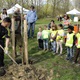 Poznávání jarní přírody v lesoparku Hodkovičky včetně zasazení stromu starostou Petrem Štěpánkem