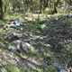 Okolí cyklostezky u branických hřišť dlouhodobě trpí nepořádkem, který zde vytvářejí lidé, jimž je zatěžko odložit pneumatiky a další odpad tam, kam patří, a pohazují ho místo toho v zeleni. Místní obyvatelé, ochotní středoškoláci a radní Tomáš Hrdinka se proto spojili, domluvili a vyrazili v úterý 27. dubna 2021 vylepšit naše společné okolí. Mnozí ze studentů se setkali poprvé po řadě měsíců, kdy se vídají jen přes monitory počítačů. Ty ale nyní vypnuli a přijeli do Braníka, kde vyfasovali rukavice, dezinfekci, velké plastové pytle a nevábné okolí cyklostezky v sousedství sportovišť a Jižní spojky uklidili. Práce bylo dost, ale studenti z michelské Školy mezinárodních a veřejných vztahů jsou na environmentální projekty zvyklí. 