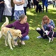 V parku Na Pankráci proběhl v neděli 11. září 2022 již 9. ročník oblíbené „zábavy pro psa i celou rodinu“ - PesFest 2022. Příchozí mohli vidět různá vystoupení psů a komentované ukázky výcviku, agility park, psí poradny, oblíbené psí soutěže, prodej chovatelských potřeb a samozřejmě vyhlášení sympaťáka PesFestu 2022.