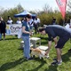 Na "Psí louce" na Kavčích horách se v sobotu 22. dubna 2023 od deváté ranní uskutečnil již třetí ročník oblíbeného závodu Corgi race cup.