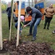 Pod Branickou skalou se 22. října 2019 uskutečnila tradiční akce - Den stromů. Až do 16 hodiny zde na příchozí čekaly čtyři stánky s informacemi o lesích v Praze. V rámci akce byly také vysazeny do parku dva vzrostlejší javory. Akci podpořil svou přítomností i radní pro životní prostředí Tomáš Hrdinka (ANO 2011).