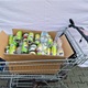 Michelská prodejna Kaufland nově zavádí zpětný odběr PET lahví a plechovek
