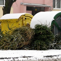 Vánoční stromek u popelnic (zdroj - Opavský a Hlučínský deník.cz)