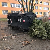 Pokud je popelnice (nádoba na odpad) volně přístupná (typicky většina sídlišť - tedy není v domě nebo na dvorku či ve vnitrobloku), stromek se umisťuje vedle ní. 
