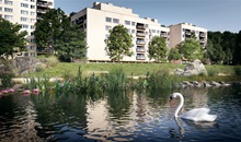 V Braníku vzniká vodní biotop