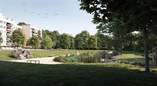 V Braníku vzniká vodní biotop V Braníku vzniká vodní biotop