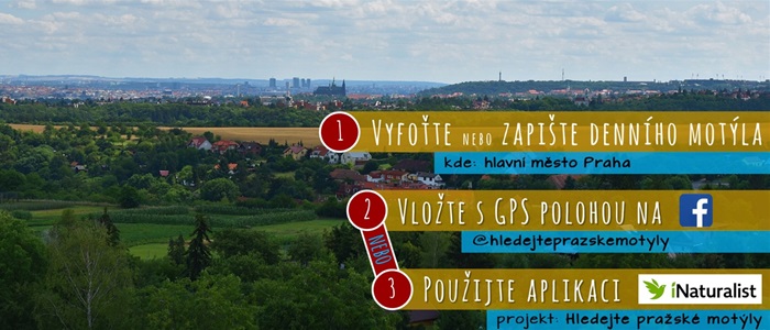 Hledejte pražské motýly, vyzývají odborníci veřejnost Hledejte pražské motýly, vyzývají odborníci veřejnost