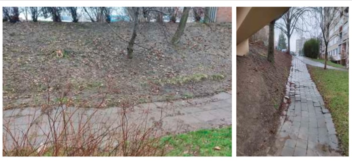 Podnět 14: Oprava cesty v zeleni a zpevnění svahu v ulici V Zápolí