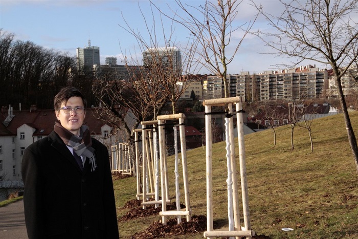MČ Praha 4 v uplynulých dnech vysadila na vrchu Kapitol v pražské Michli do starého ovocného sadu celkem 55 nových ovocných stromů. V souladu s klimatickou politikou města došlo k dosazení dožívajícího historického sadu tradičními druhy peckovin (jde zejména různé druhy jedlých třešní) a malvic (hrušně, jeřáby), ale i k výsadbě zcela nové reprezentativní aleje napříč svahem z 23 exemplářů sytě růžově kvetoucích třešních chloupkatých (varieta Accolade). Na snímcích z 2. a 3. prosince 2021 je zachycena výsadba, kterou si přišel prohlédnout i radní Tomáš Hrdinka (ANO 2011). 