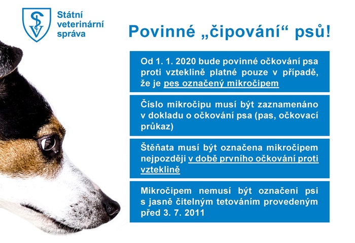 čipování psů