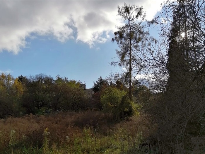 Zahrada ZŠ Jeremenkova změní svou podobu na „přátelskou“ Zahrada ZŠ Jeremenkova změní svou podobu na „přátelskou“