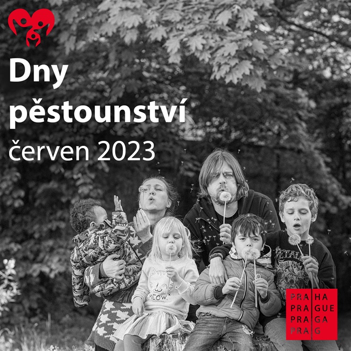 Dny pěstounství červen 2023